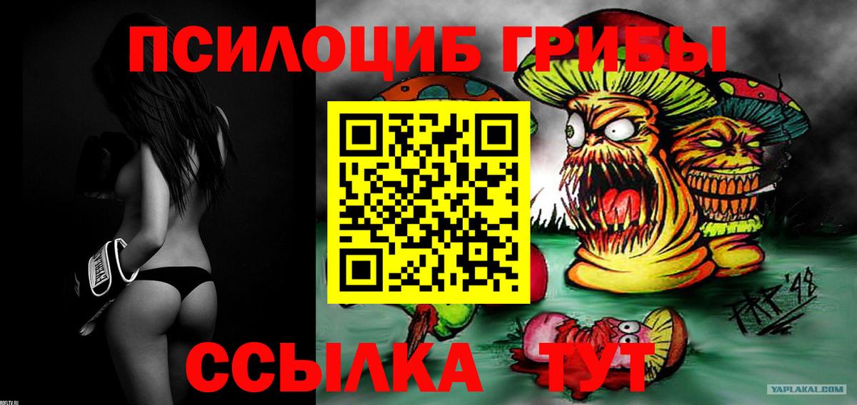 Галлюциногенные грибы мухоморы Егорьевск