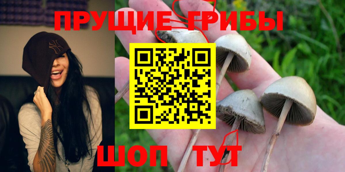 Псилоцибиновые грибы прущие грибы  наркота  Псилоцибиновые грибы ЛСД  Егорьевск  Вход с VPN 